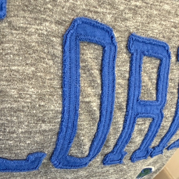 Colosseum Athletics Florida Gators Gray and Blue Long Sleeve Shirt Size Small - Picture 3 of 8